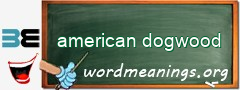 WordMeaning blackboard for american dogwood